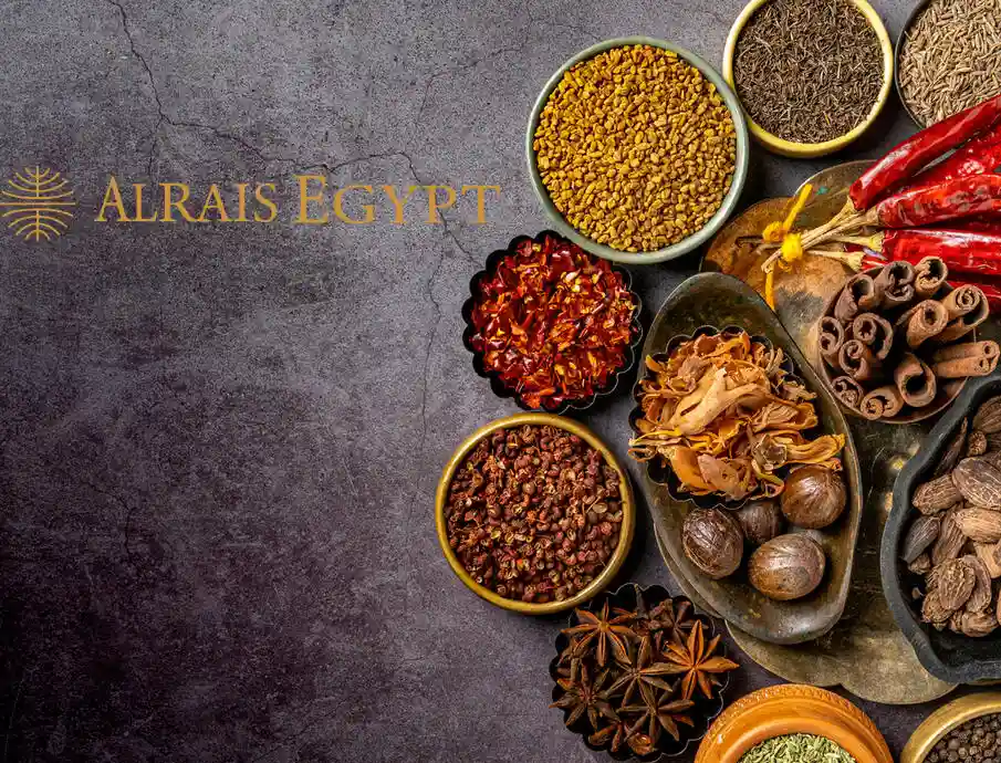 Why Import Spices from Egypt?