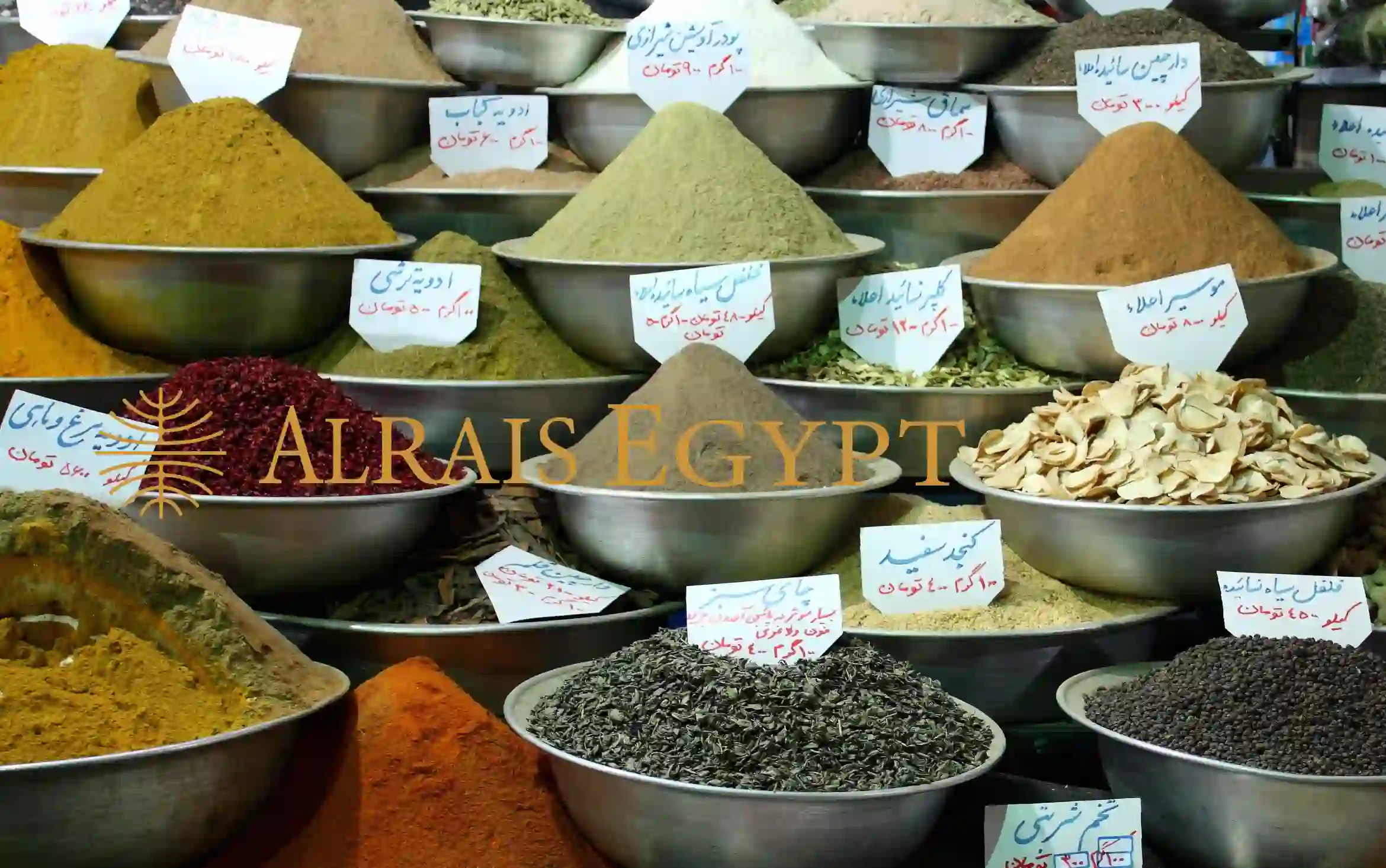 Bulk Supply of Commonly Used Herbs: What International Buyers Need